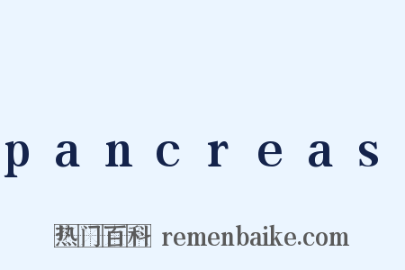 pancreas是什么意思的图片